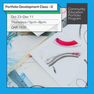 Portfolio Development D